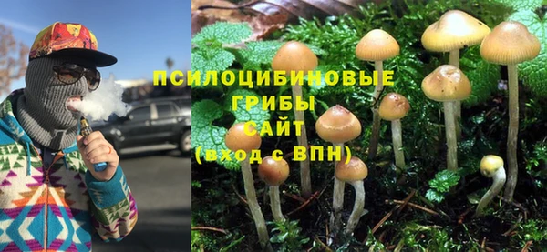 ГАЛЛЮЦИНОГЕННЫЕ ГРИБЫ Лиски