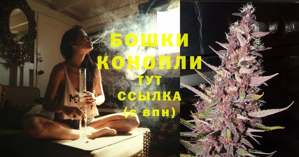 гашик Липки