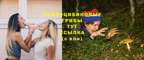 ГАЛЛЮЦИНОГЕННЫЕ ГРИБЫ Лиски
