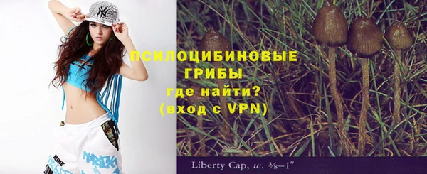 гашик Липки