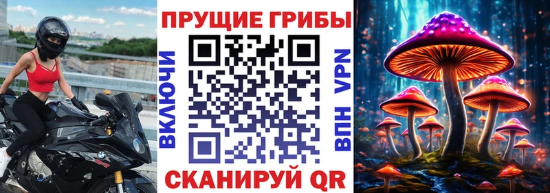 даркнет сайт  Чудово  Псилоцибиновые грибы мицелий 
